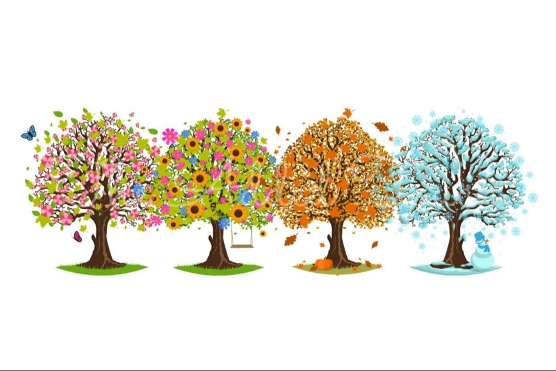 seasons illustrated by 4 different coloured trees
