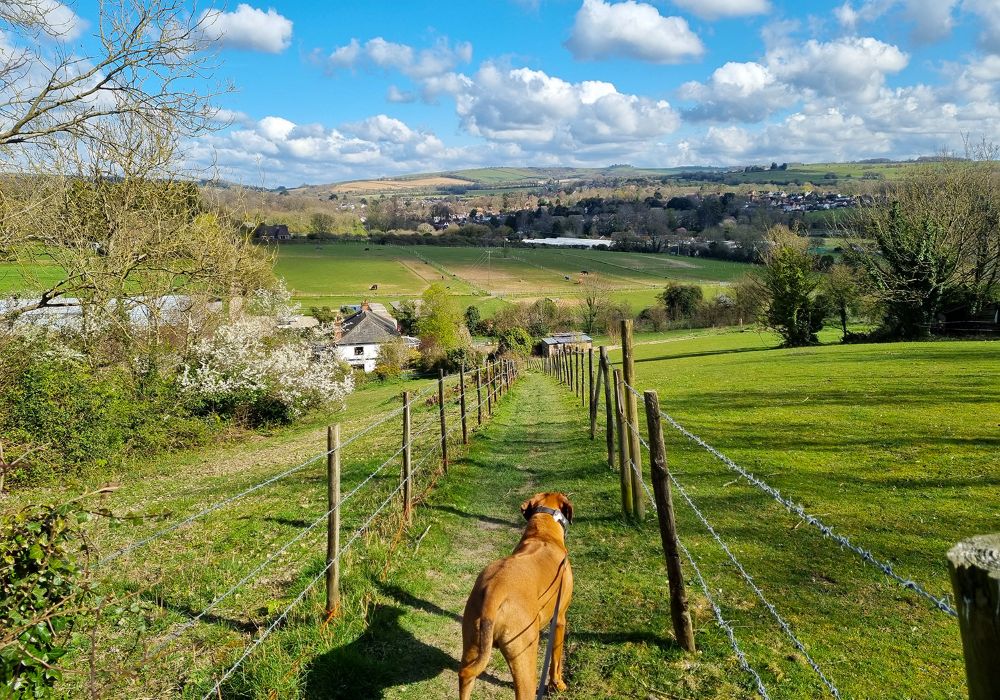 Findon Valley